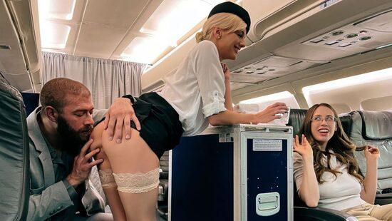 Реактивные сеттеры. Эпизод 3